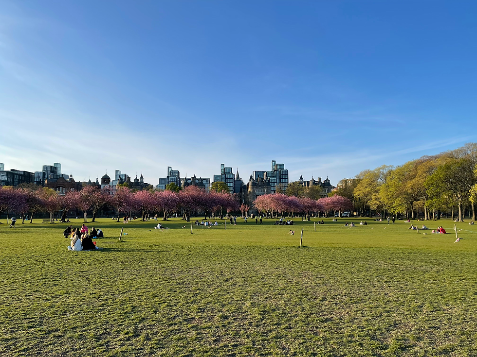 A picture of Edinburgh's Meadows park