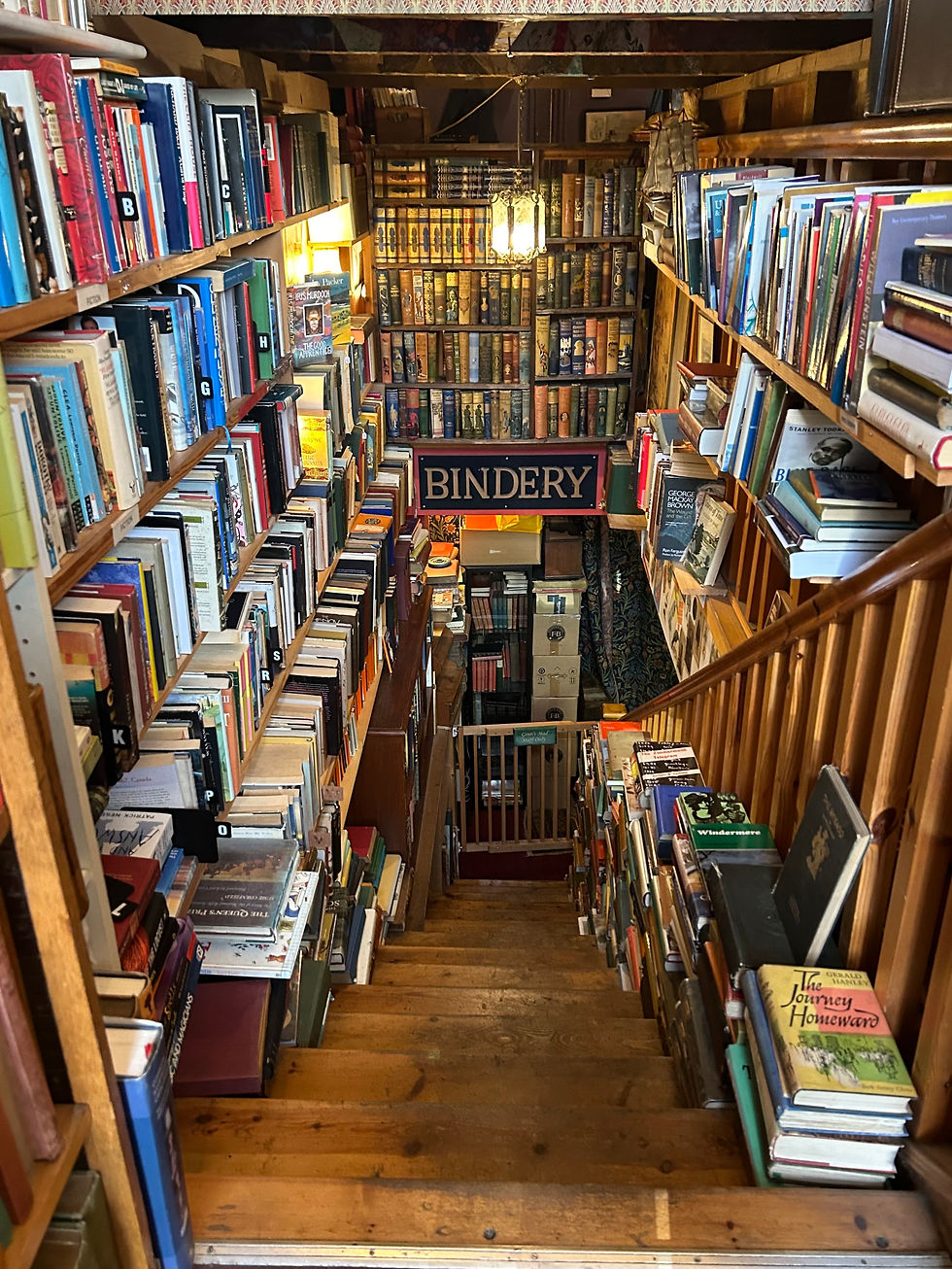 A lot of books with stairs going down in the middle
