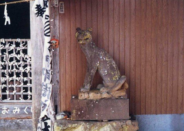 img159.jpg