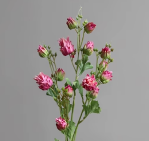 Screenshot 2023-09-30 at 5.43.32 PM