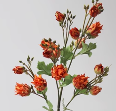 Screenshot 2023-09-30 at 6.01.17 PM