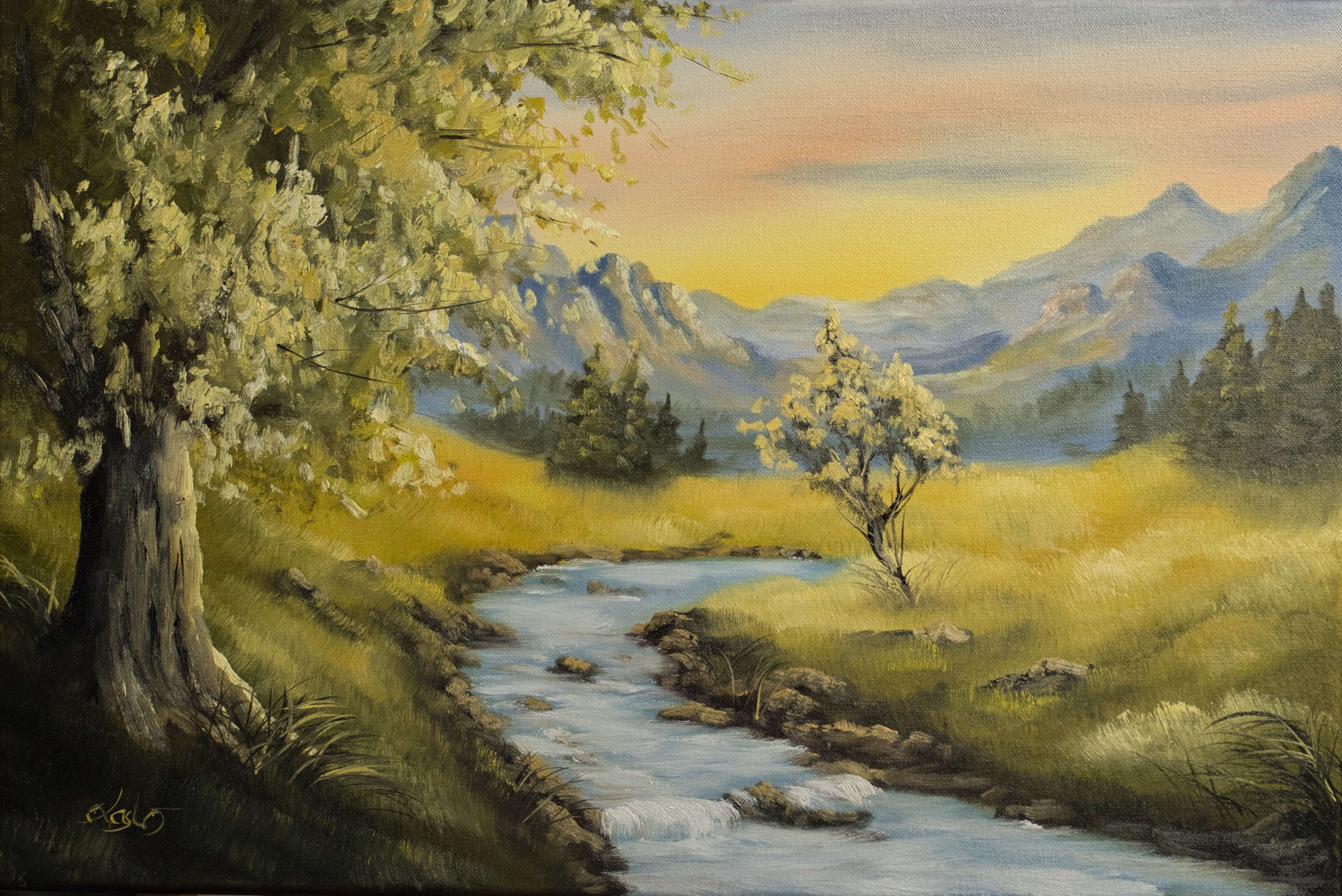 Videokurs  "Die Bergwiese" 95 Min