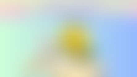 Learn by doing with phonics activities that meet creativity.