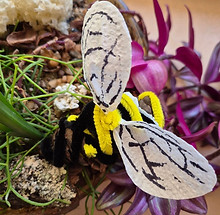 world bee day.jpg