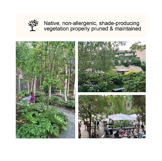 Northampton HSA library of strategies_v1_Page_11.png