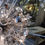 Thumbnail: Custom Austrian Crystal Chandelier with Rock Crystal