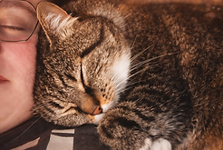 06451238-29B3-4D02-8968-C4DB34B4973A.png