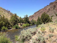 800px-2013-06-28_14_30_54_View_down_the_Jarbidge_River_near_its_confluence_with_the_East_F