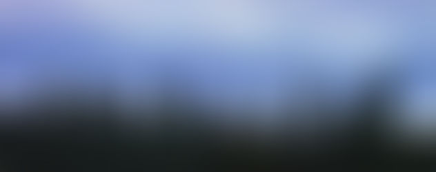 Why Social Justice Activists are Wrong.