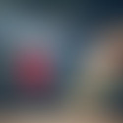 الجامعات المعترف بها في دولة تونس