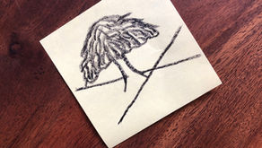 Under a spreading chestnut tree, this creative director wanders around