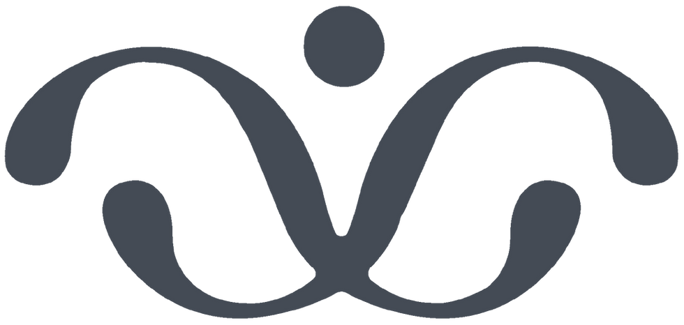 ISOTYPE_4x_#444B55.png