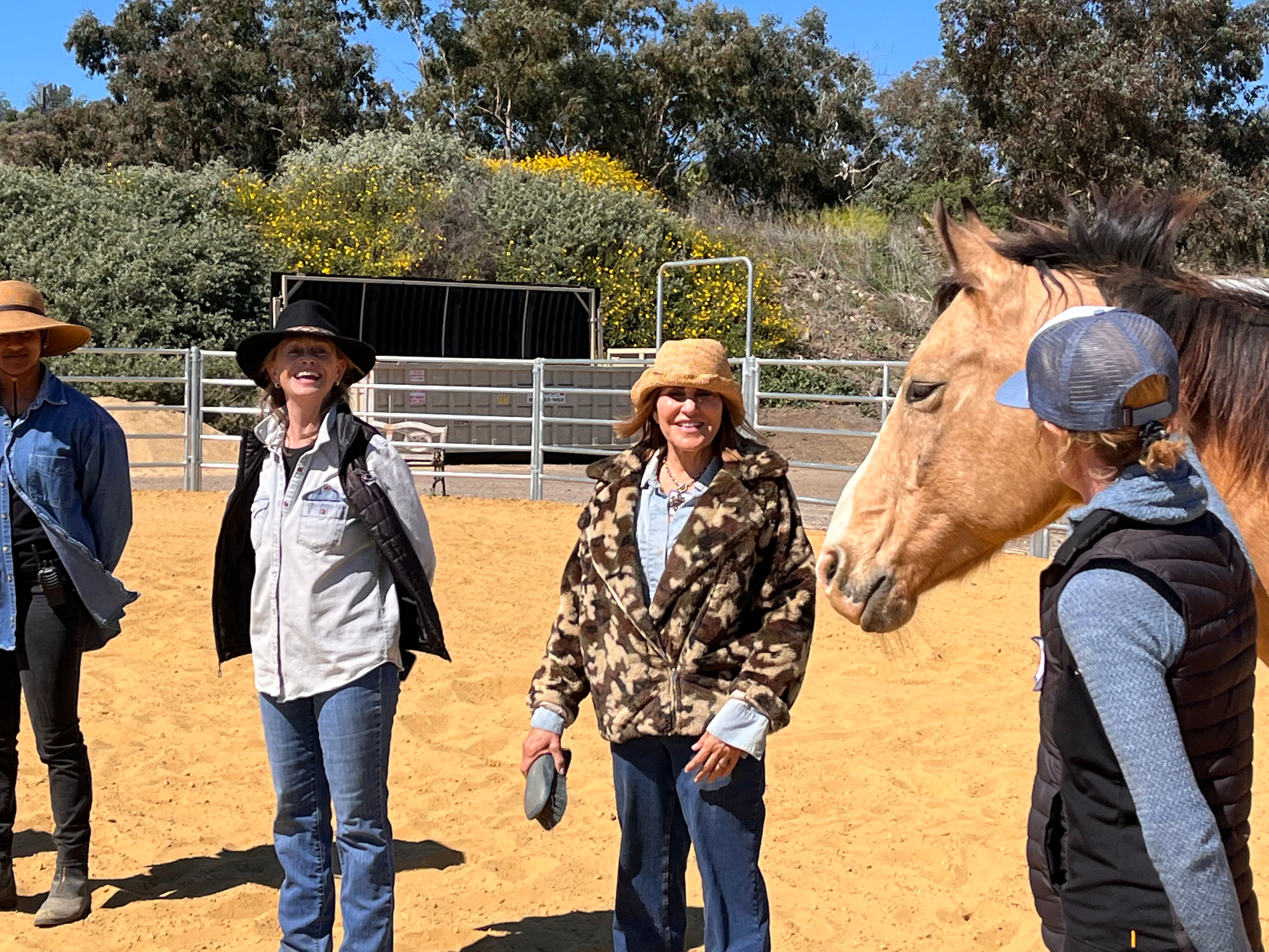 woman horse equine therapy