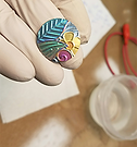 Niobium patterned disc