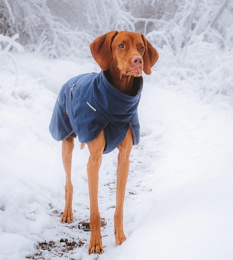 Non-stop Dogwear Glacier Wool Jacket 2.0 | PUP SEES WORLD