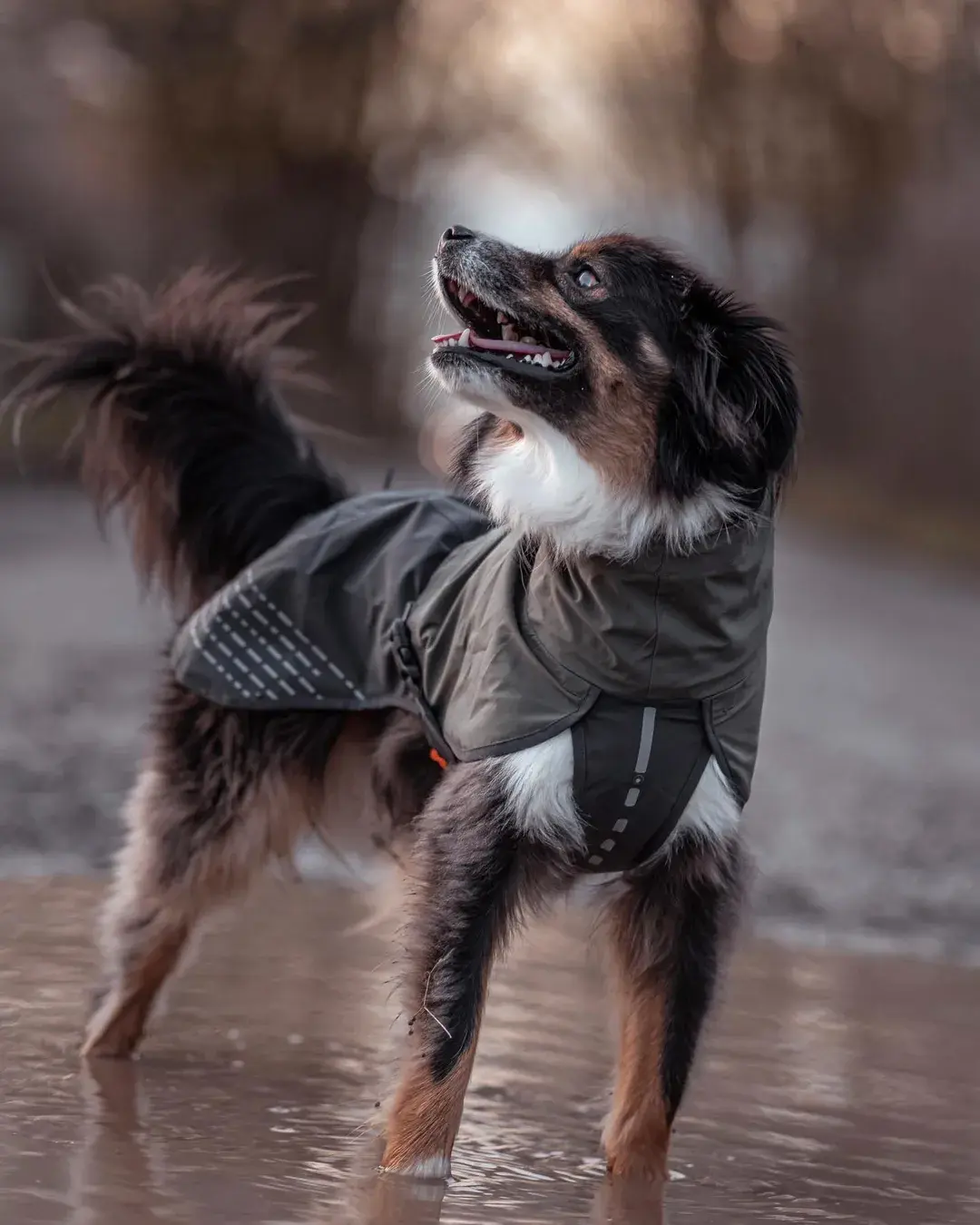 Fjord Raincoat from NonStop