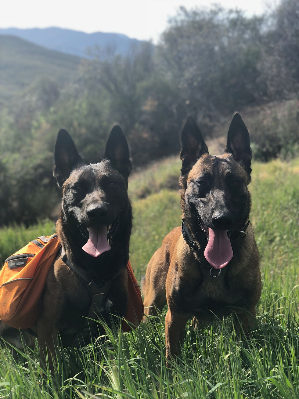 Backpacking in Cleveland National Forest