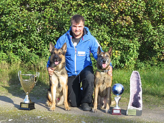 Online competition dog training
