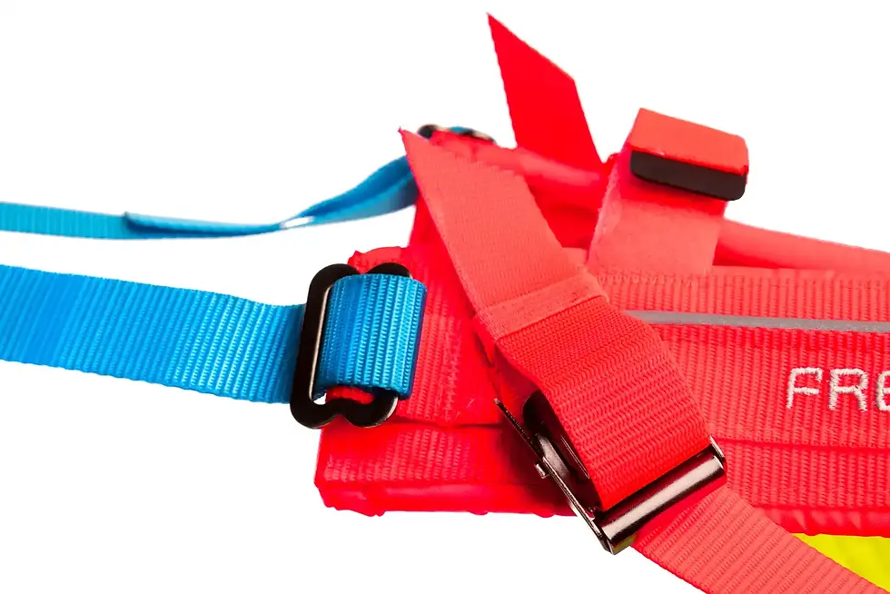 Close up of straps on Non-stop dogwear freemotion 5.0 limited edition harness