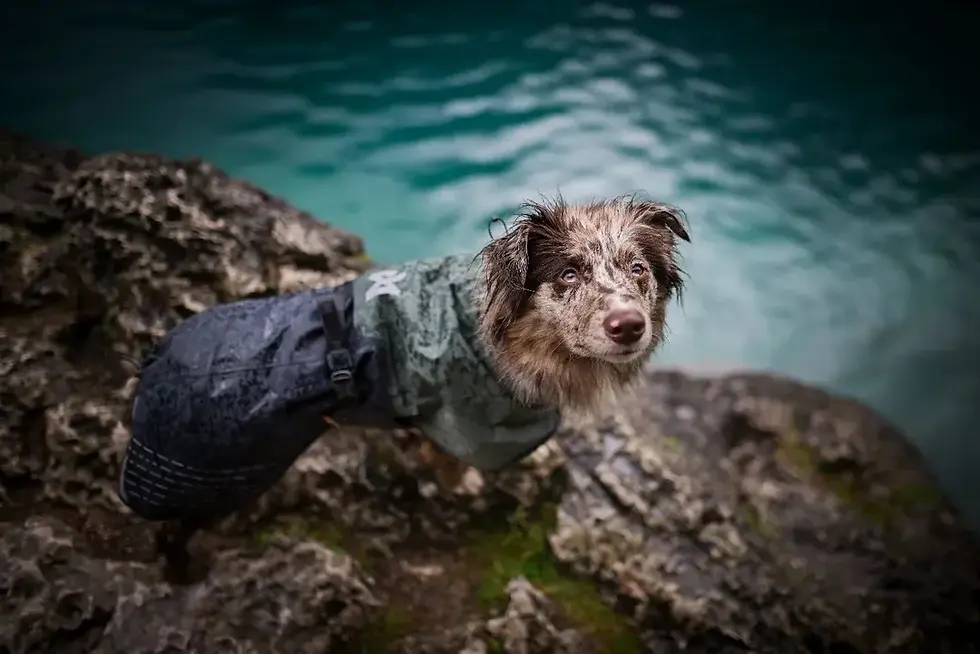 Thumbnail: Fjord Raincoat from NonStop
