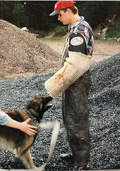 Schutzhund helper training