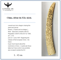 horn dragon chine 20c