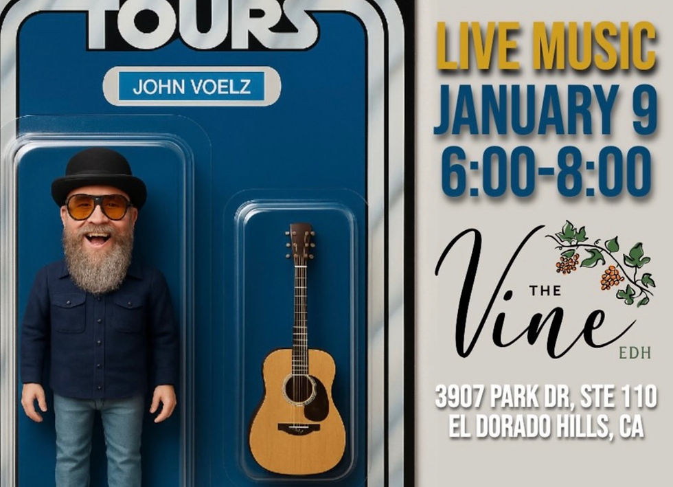 Live Music - John Voelz