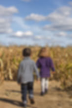 Two Corn Mazes