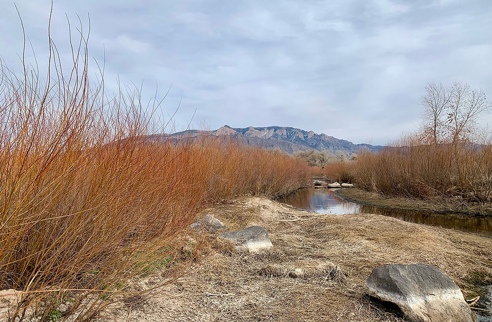Before the conference, Perin met with Cameron Weber of Rio Grande Return at the tail end of the field trip to view the Harvey Jones Channel River Outfall project site, where roughly 10 acres of riparian habitat were restored. The project is a partnership between The Nature Conservancy and several public agencies, including the Southern Sandoval County Arroyo Flood Control Authority, Middle Rio Grande Conservancy District, Village of Corrales, City of Rio Rancho, and Bureau of Reclamation. Goals were to reconnect the bosque vegetation to groundwater, lowering the bench elevation; improve water quality to reduce stormwater pollution entering the Rio Grande; enhance bird, fish, and other wildlife habitat; reduce stagnant water and mosquito issues; illustrate the benefits of large-scale green stormwater infrastructure; and, demonstrate inter-agency coordination on a public-private partnership project. This project included planting thousands of willow polls and reseeding native species along tributaries to the Rio Grande.