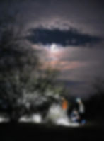Caminata nocturna, en busca de arañas, guiada por Gila Hikers en Hermosillo, Sonora.