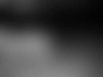 American Badgers and Coyotes - an unlikely friendship