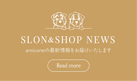 amicone_news-2_banner01.png