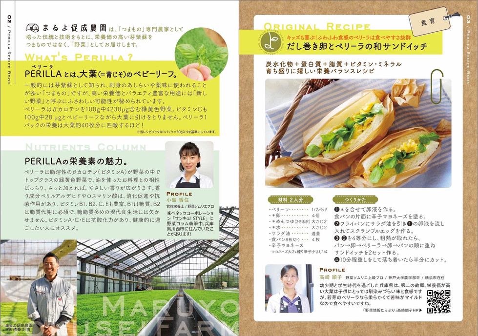 Perira Recipe Book p2-p3