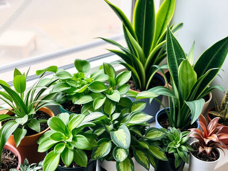 Start Simple, Grow Confident