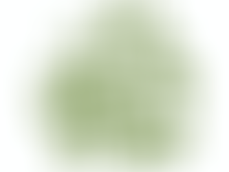 Qu'est-ce que la moisissure?