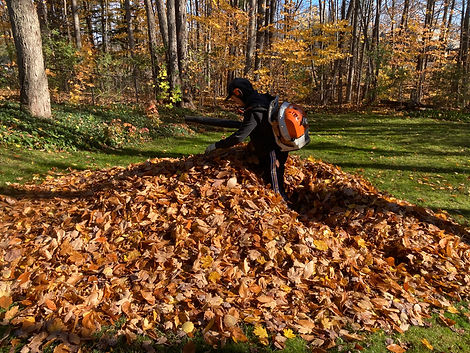 Fermeture de terrain à l’automne avec ramassage de feuilles