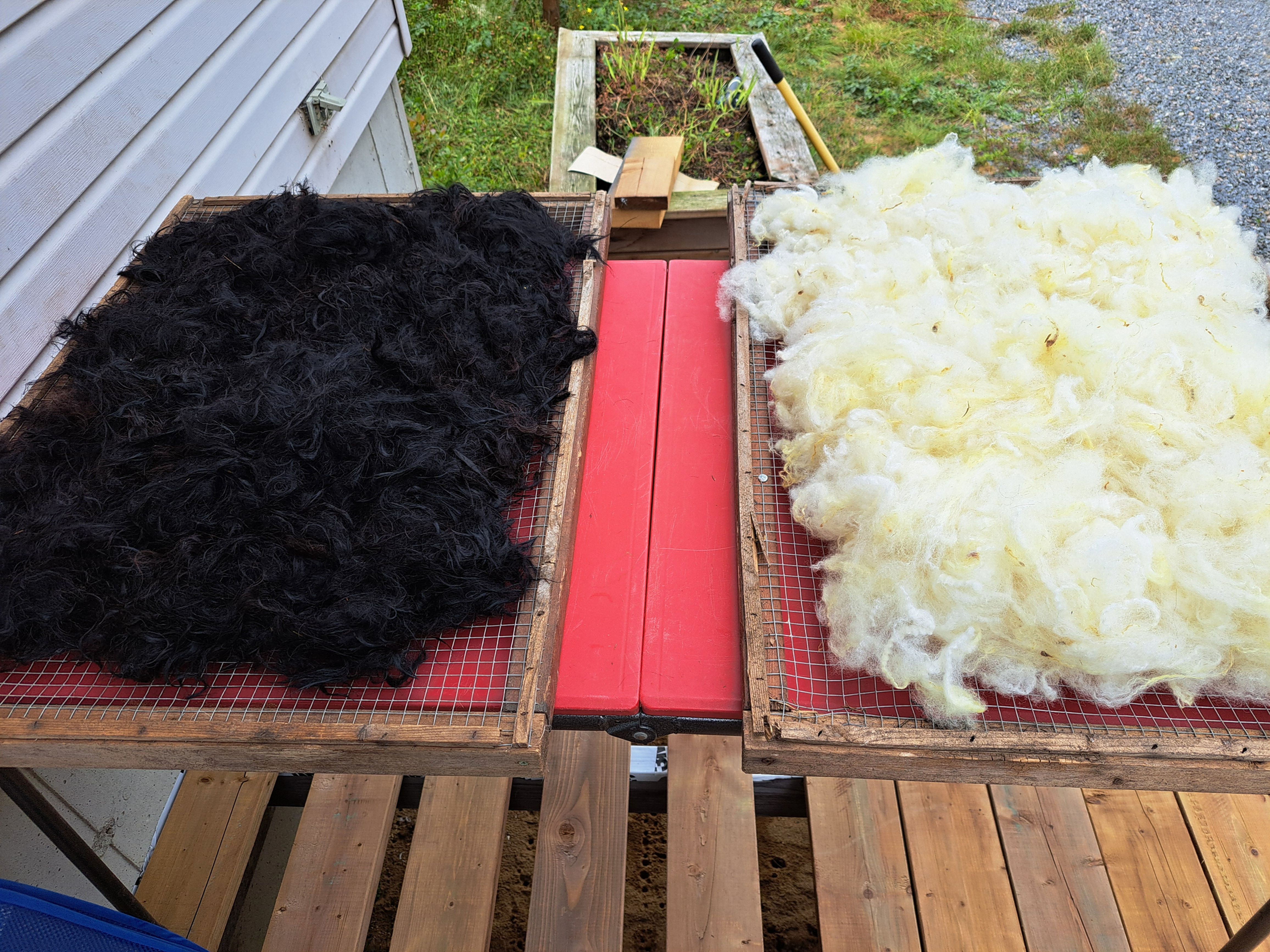 #138 Valorisation de  la laine d’ici!  avec Jessica Prévost