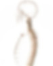 spine_edited.jpg