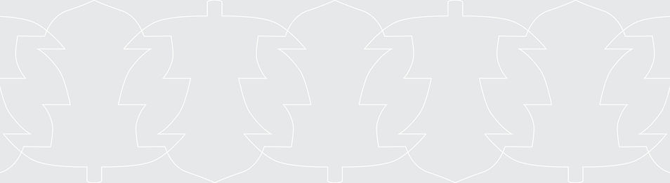 Sustainability solutions_ESG consulting_Sustainability in business_Viridis Sustainability Solutions_pattern