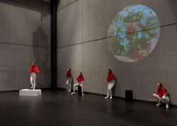 Performance installation