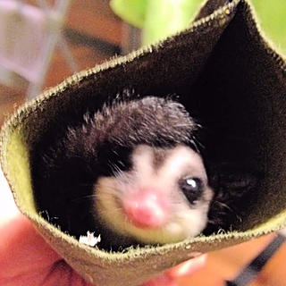 執筆者の写真: もも パートナーズ