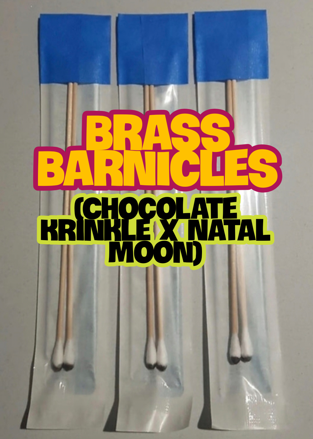 Brass Barnicles -
Mushroom Spore Swab Set x1 - For Microscopy