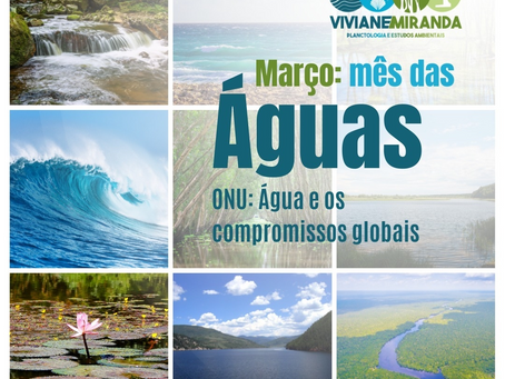 Fim do Mês das Águas