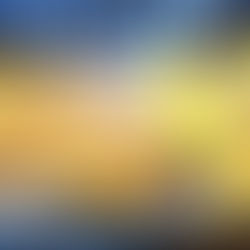 Proteinrike Vafler med Gulrot