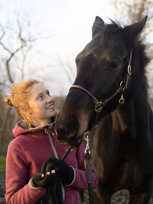 Connexion entre l'humain et le cheval, harmonie et amour