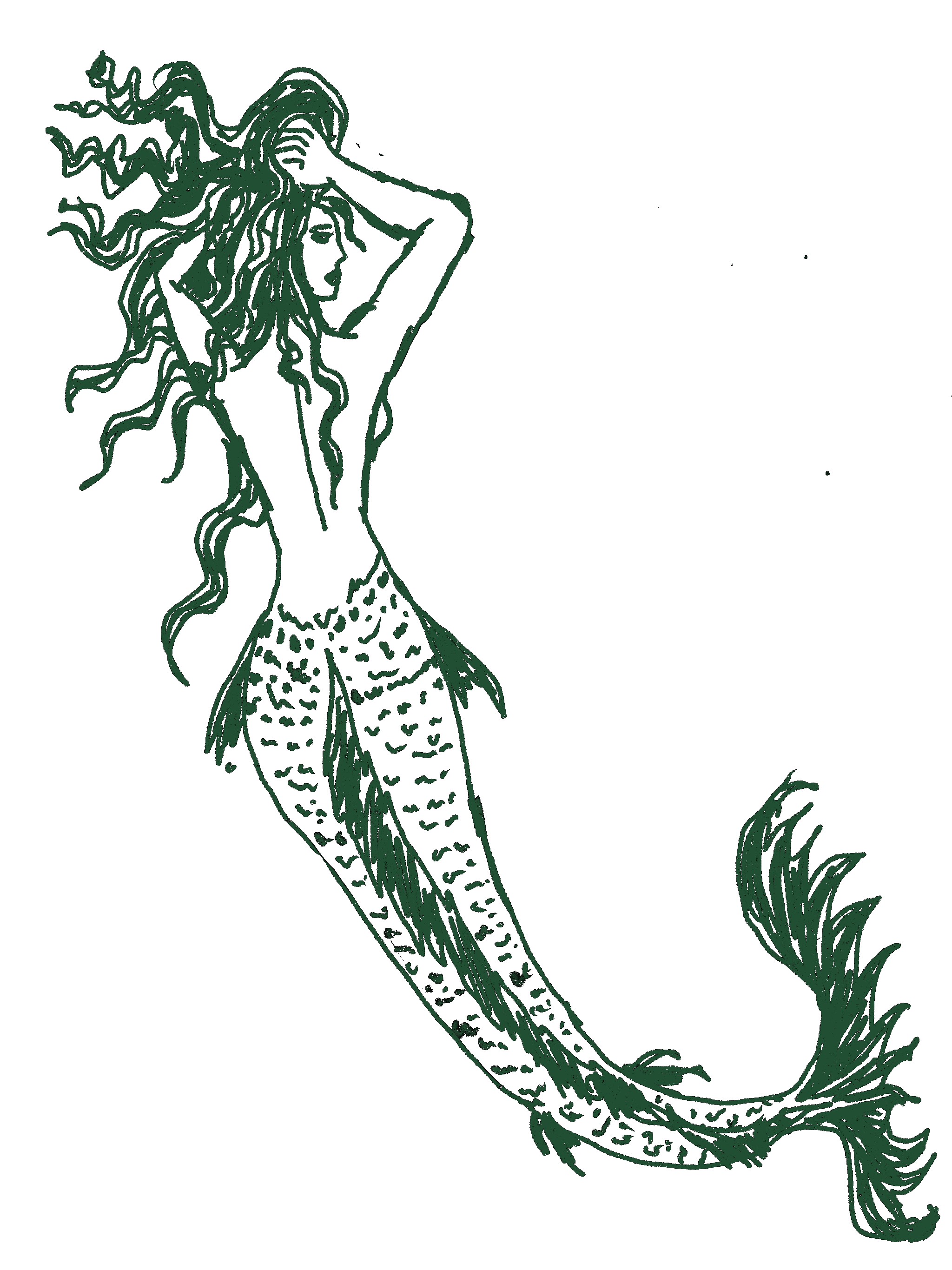 MermaidGif2.GIF
