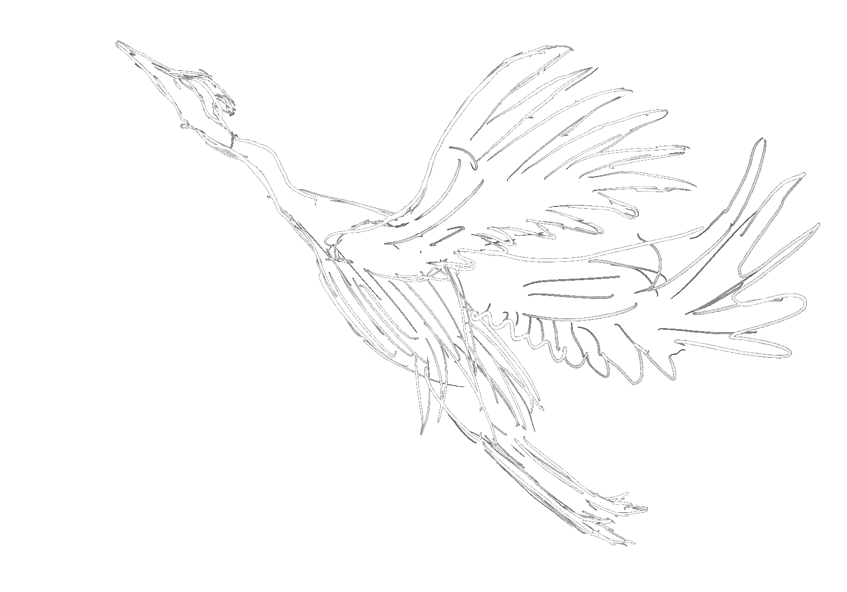 Crane_GIF_ (1).gif