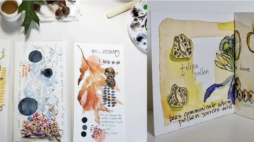 Watercolour Artist Books with Audrey Nicoll