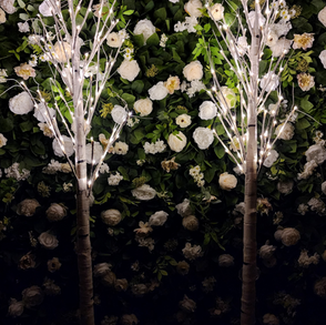 Edmonton wedding rentals