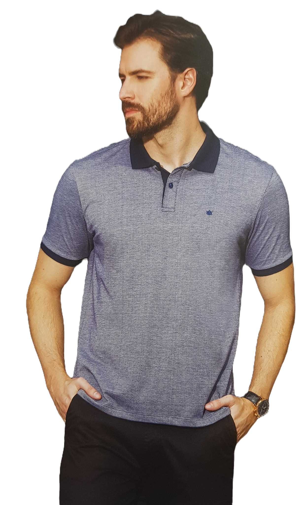 Polo combinación en cuello y manga